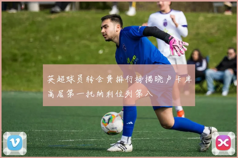 英超球员转会费排行榜揭晓卢卡库高居第一托纳利位列第八