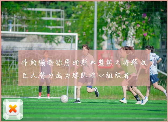 乔约翰逊称詹姆斯加盟热火将释放巨大潜力成为球队核心组织者