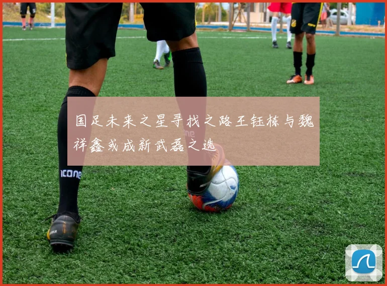国足未来之星寻找之路王钰栋与魏祥鑫或成新武磊之选