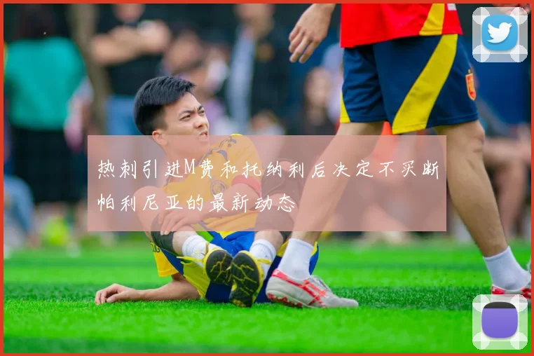 热刺引进M费和托纳利后决定不买断帕利尼亚的最新动态